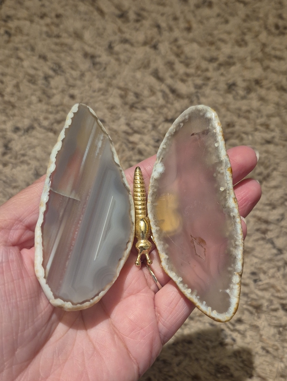 Agate Geode Butterfly Display with Gold Accent